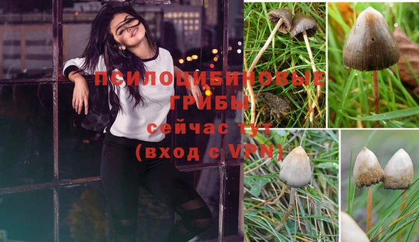 кокс Тавда
