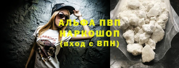 ешки Тайга