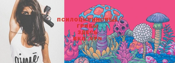 ешки Тайга