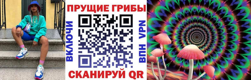 Псилоцибиновые грибы Cubensis  дарнет шоп  Кропоткин 